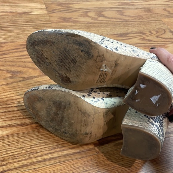 Steve Madden Star Snake Skin Bootie - Picture 6 of 9